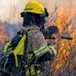 Feux de forêt : l'engagement des pompiers professionnels