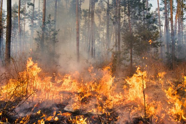 incendie en cours